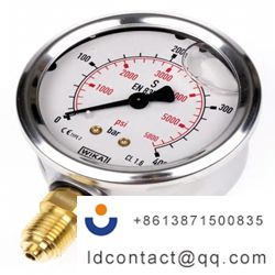 9626969_WIKA Stainless Steel Pointe